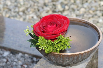 At the cemetery, Friedhof