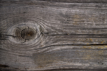 grey wood texture