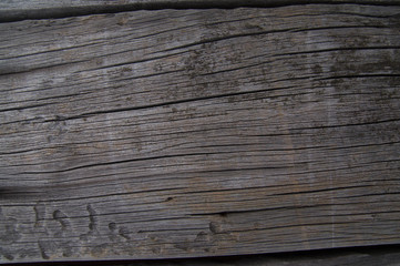 grey wood texture