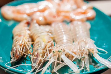 closeup fresh prawns and shrimp