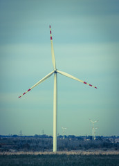 Windmills for electric power production on the field.