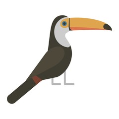 Cartoon toucan vector isolated birds