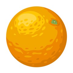 Orange isolated vector illustration.