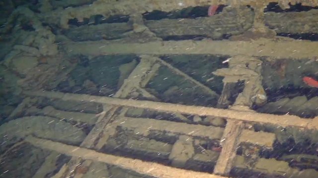 Swimming over the flatbeds of the Bedford Trucks in Hold No1 of the SS Thistlegorm Ship Wreck in the Red Sea