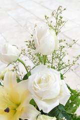 Obraz na płótnie Canvas white roses close-up, soft focus