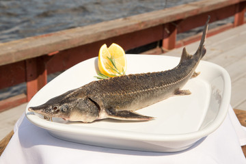 Sturgeon roasted on a plate