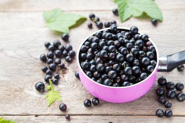 Fototapeta na wymiar black currant berries