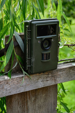 Camera trap with infrared light and motion detector attached with straps on a wooden fence