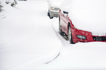 Cars covered with snow