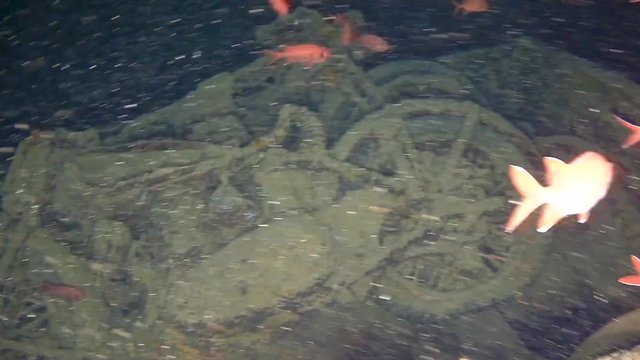 Norton and BSA Decaying motorcycles in the back of Bedford Trucks in Hold No1 of the SS Thistlegorm Ship Wreck in the Red Sea