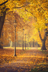Colorful tree alley with row of lanterns in the autumn park on a sunny day in Krakow, Poland © tomeyk