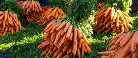 Karotten auf dem Markt