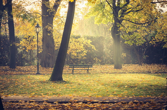 Autumn park, bench and lantern in the sunbeams  in Krakow, Poland