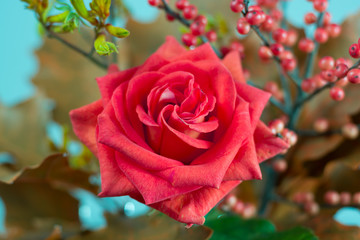 Colorful flowers bouquet