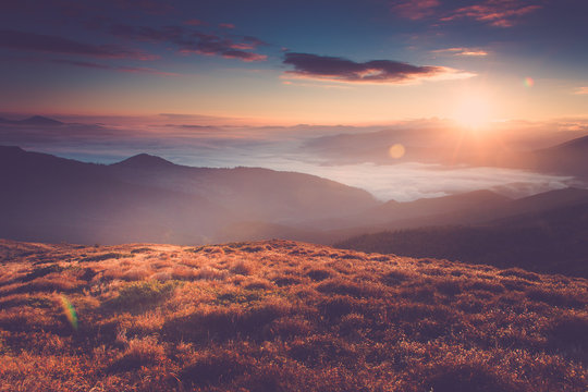 Beautiful landscape in the mountains at sunrise. View of foggy hills covered by forest. Filtered image:cross processed retro effect. 