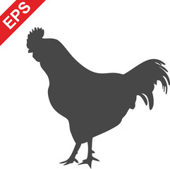 cock icon, vector chicken logo, isolated hen icon