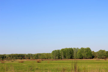 Obraz premium Spring landscape