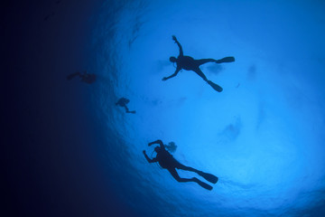 Obraz na płótnie Canvas Scuba diving