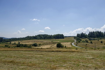 Beauty view of advance summer in Plana mountain, Bulgaria 