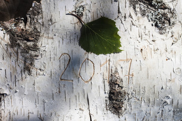 number new year carved on birch