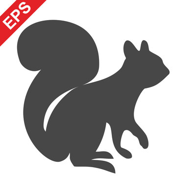  logo of squirrel isolated on a white backgrounds