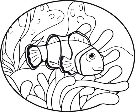 recommend clip art: clown fish
                    