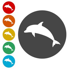 Dolphin icons set 