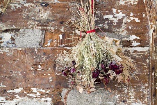Withered Red Rose