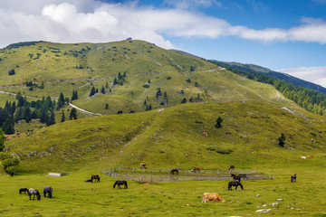 View of Dobratsch mountain, Austria