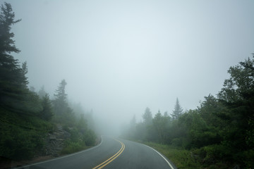 Foggy road up Cadillac Mountain