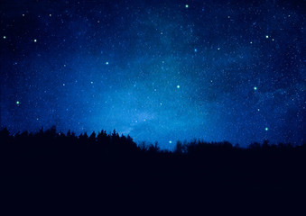 Fototapeta na wymiar Nachthimmel mit Sternen und Wald-Silhouette - Textur