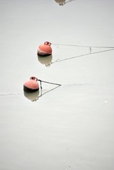 red buoys