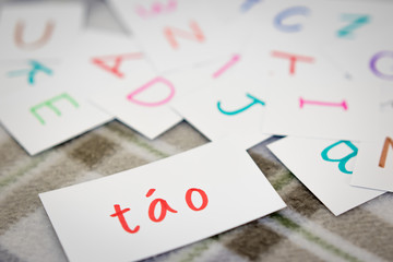 Vietnamese; Learning the New Word with the Alphabet Cards; Writi