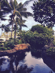 Vintage Oahu Postcard Setting