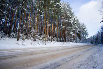 зимняя дорога через лес