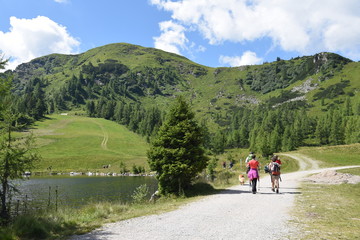 Wanderweg in der Steiermark / Österreich