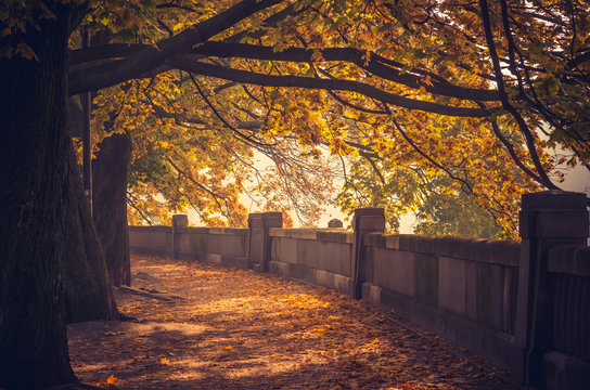 Autumn landscape, Krakow, Poland, Vistula river boulevards park