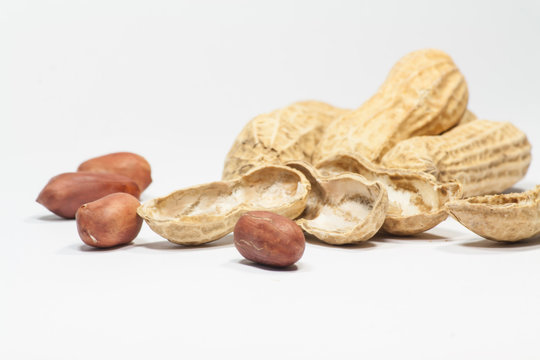 Dried and shelled peanuts
Dried and shelled peanuts. on the white background.