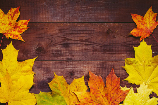 Wooden background with maple fallen leaves. Copy space for text