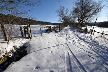 Verschneite Wiesen- und Waldlandschaft