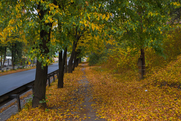Autumn alley