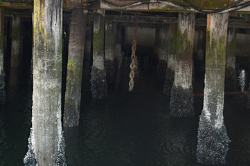 under a pier with log supports and rusty chain hanging