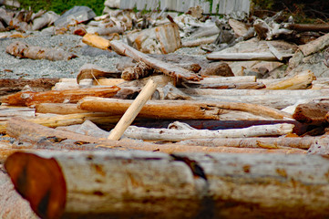 washed up logs and driftwood on a beach