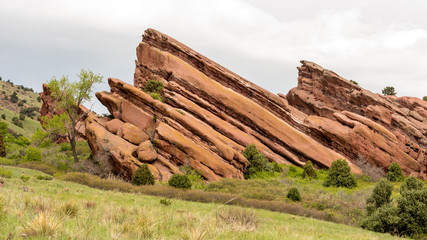 Sandstone bluff in Colorado with tree and grass