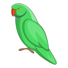 Parrot icon. Cartoon illustration of parrot vector icon for web