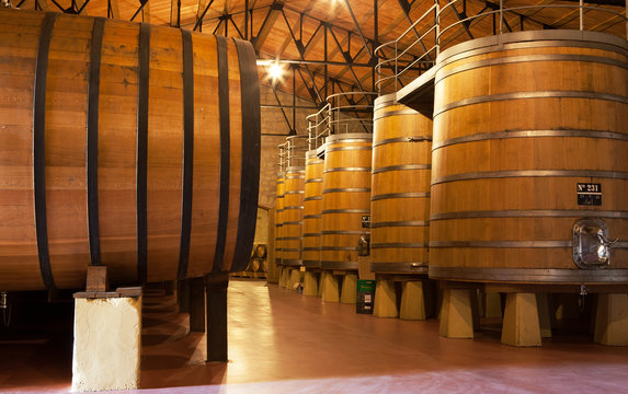 Oak Wine Vats, La Rioja
