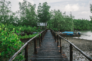 Fototapeta premium Bridge to the wooden boat at mangrove forest