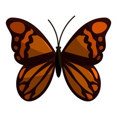 Brown butterfly icon. Cartoon illustration of brown butterfly vector icon for web