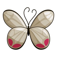 White butterfly icon. Cartoon illustration of white butterfly vector icon for web