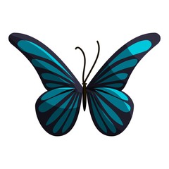 Small butterfly icon. Cartoon illustration of small butterfly vector icon for web